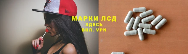 гашик Беломорск