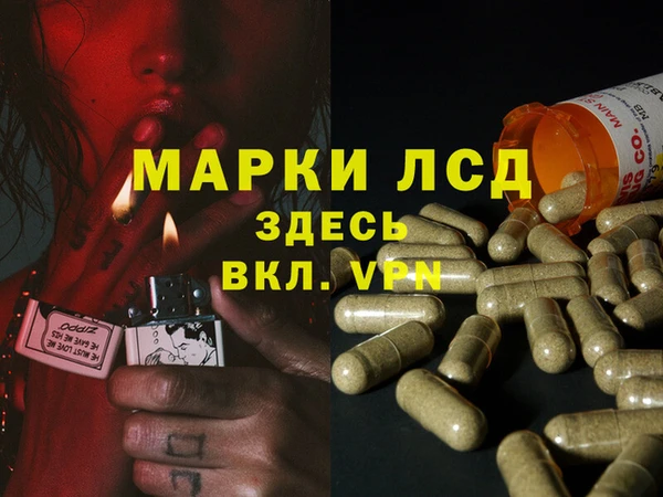 гашик Беломорск