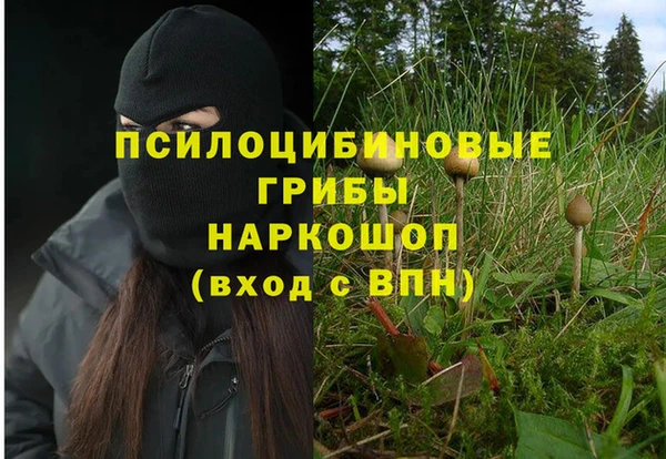 гашик Беломорск