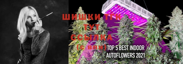 гашик Беломорск