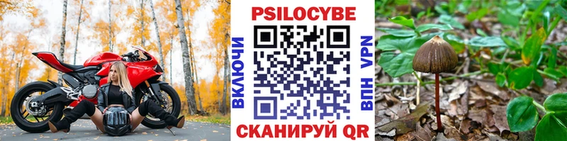 купить наркотики сайты  Челябинск  Псилоцибиновые грибы Psilocybe 